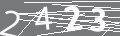 capsa